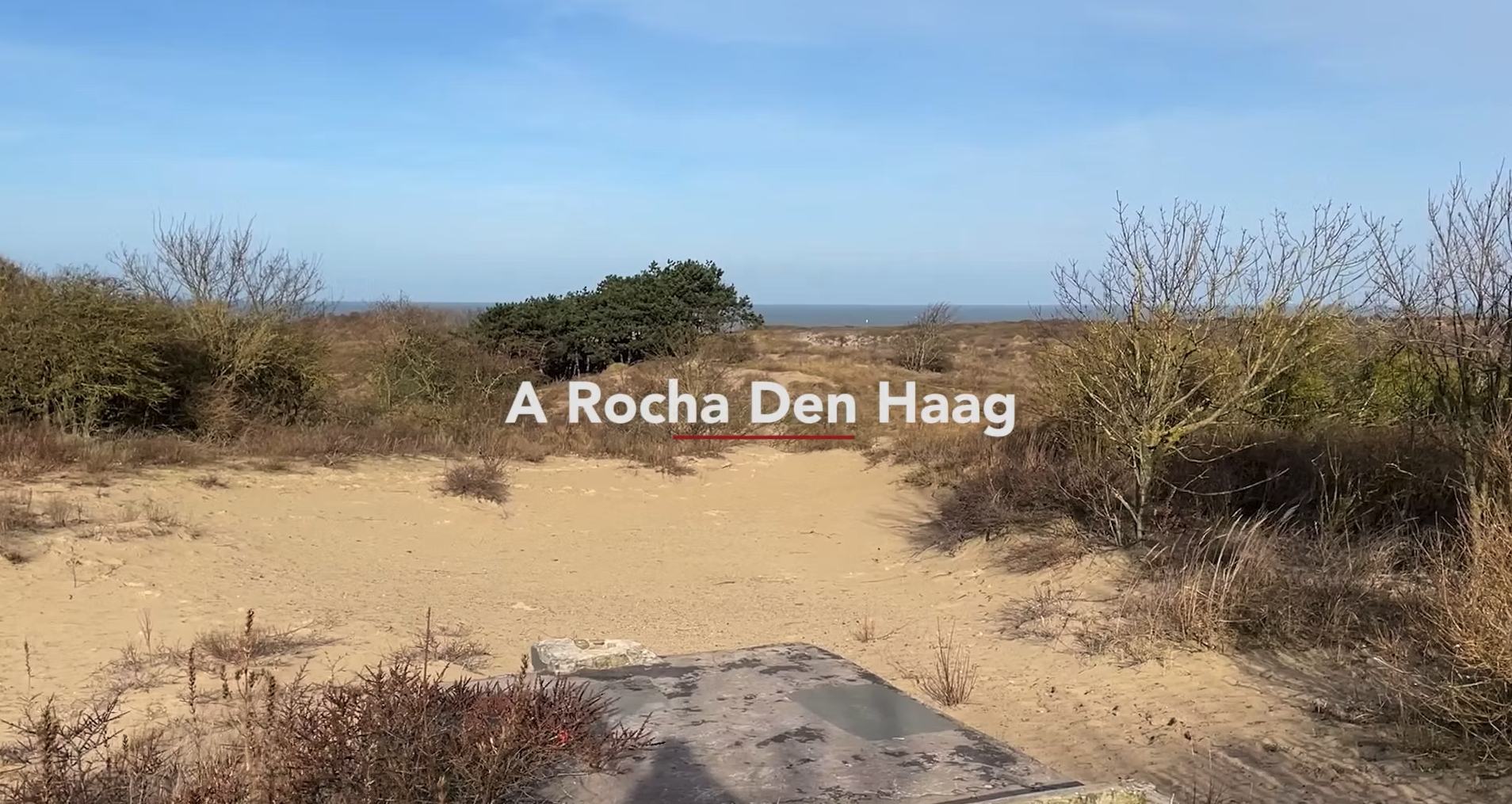 Gaaf – A Rocha – Den Haag